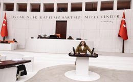 Taşcı: “Kadın Cinayetleri Kader Değil, Siyasi Tercihlerin Sonucudur”