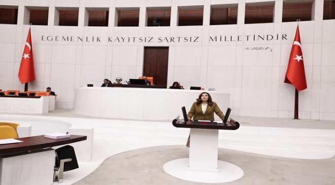 Taşcı: “Kadın Cinayetleri Kader Değil, Siyasi Tercihlerin Sonucudur”