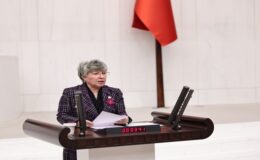 CHP’li Nurten Yontar: “Milli parklar ticari işletme alanına dönüştürülüyor”