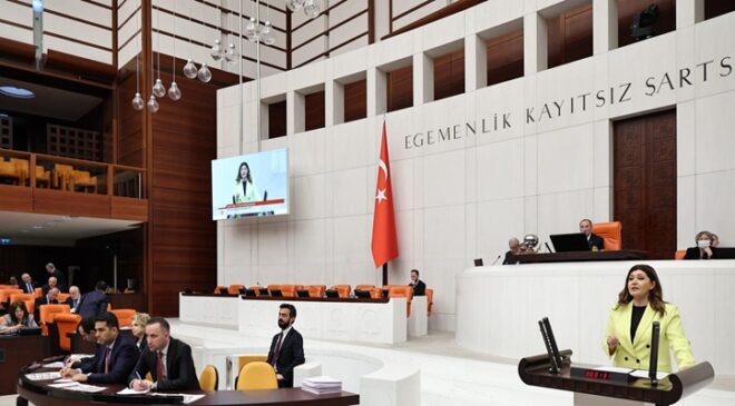 Selcan Taşcı Ulaş Göleti’ndeki Balık Ölümlerini Meclis Gündemine Taşıdı