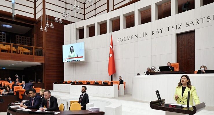 Selcan Taşcı Ulaş Göleti’ndeki Balık Ölümlerini Meclis Gündemine Taşıdı