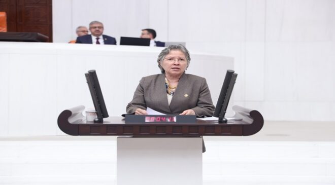 Cumhuriyet Kadınlara Siyasetin Yolunu Açtı