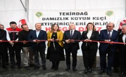 TRAKYA’NIN İLK KÜÇÜKBAŞ HAYVANCILIK FESTİVALİ MALKARA’DA COŞKUYLA BAŞLADI