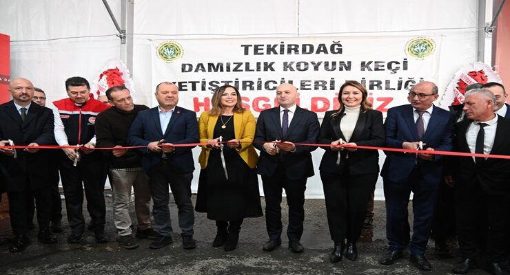 TRAKYA’NIN İLK KÜÇÜKBAŞ HAYVANCILIK FESTİVALİ MALKARA’DA COŞKUYLA BAŞLADI
