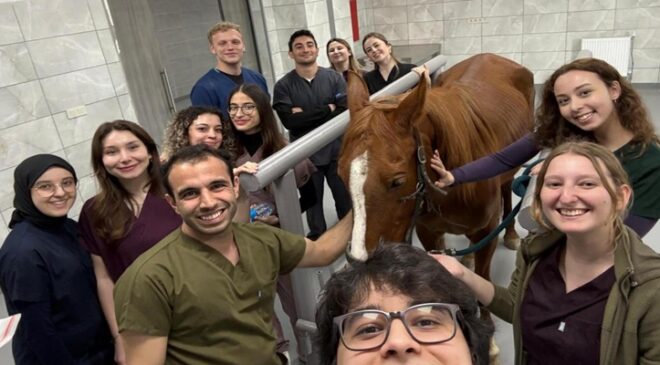 TRAKYA’DA AT SAĞLIĞININ YENİ ÜSSÜ: TNKÜ’DEN BÖLGEYE NİTELİKLİ HİZMET