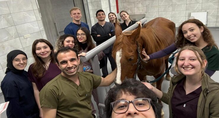 TRAKYA’DA AT SAĞLIĞININ YENİ ÜSSÜ: TNKÜ’DEN BÖLGEYE NİTELİKLİ HİZMET