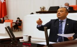 DÜNYA ÇİFTÇİLER GÜNÜ KUTLU OLSUN