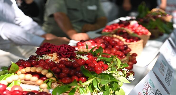 60. Kiraz Festivali Naip Mahallesinde Coşkuyla Başladı