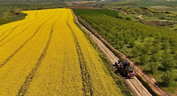 BÜYÜKŞEHİR’DEN TARLA YOLLARINA “CANDAN” DOKUNUŞ