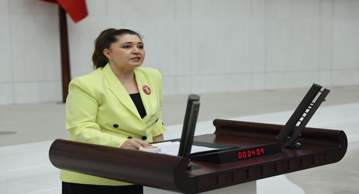 İYİ Partili Selcan Taşçı’dan Basın İlan Kurumu Düzenlemesine Sert Tepki: “Basın Biata Zorlanıyor”