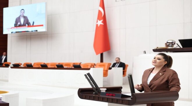 Selcan Taşçı’dan tarım politikalarına tepki: “Buğday nerede? Müşteride. Para nerede? Yok!”