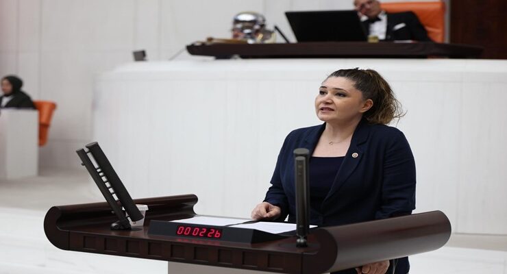 TAŞÇI’DAN TBMM’DE MADIMAK ÇIKIŞI: “ACILAR ARASINDA AYRIM YAPILAMAZ”