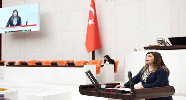 SELCAN TAŞÇI: “KADIN KATİLLERİNE ALKIŞ TUTANLARIN ‘KADINA ŞİDDET DURDURULSUN’ DERKEN SERGİLEDİKLERİ İKİYÜZLÜLÜĞE Mİ ALIŞALIM?”
