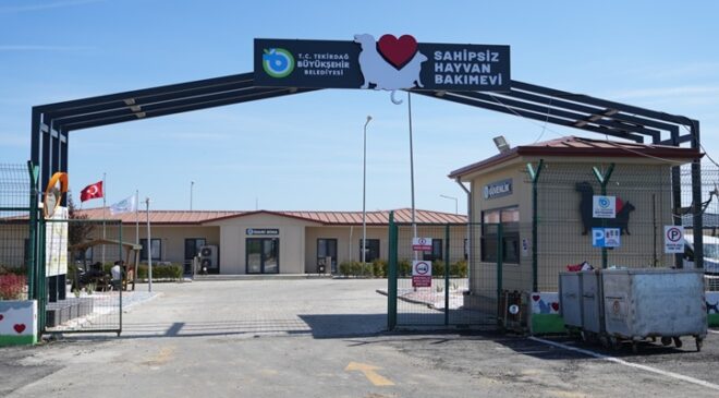TEKİRDAĞ’DA CAN DOSTLARI EMİN ELLERDE