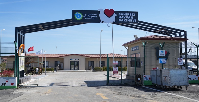 TEKİRDAĞ’DA CAN DOSTLARI EMİN ELLERDE (2)
