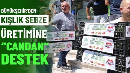 BÜYÜKŞEHİR’DEN KIŞLIK SEBZE ÜRETİMİNE CANDAN DESTEK (1)