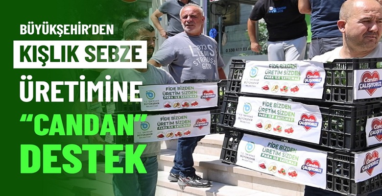 BÜYÜKŞEHİR’DEN KIŞLIK SEBZE ÜRETİMİNE CANDAN DESTEK (1)