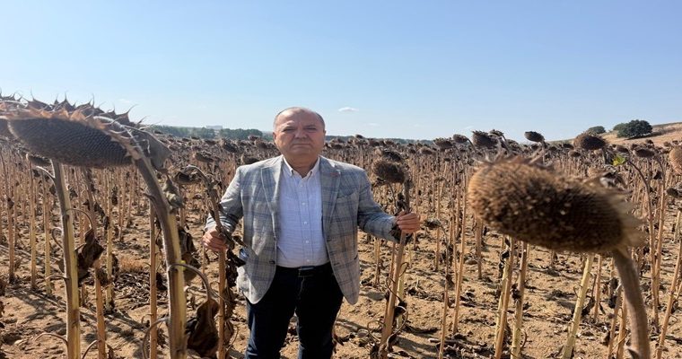 TÜRK ÇİFTÇİSİ İTHALAT LOBİSİNE YEM EDİLDİ